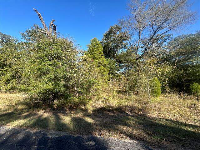57 Point Lavista, Malakoff, TX 75148, Malakoff