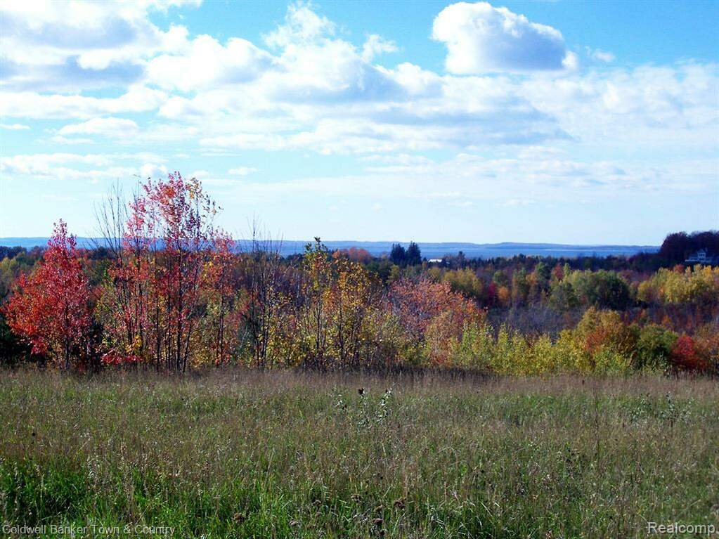 9 Orchard Ridge, Banks Twp, MI 49729 MLS 20230000498 properties