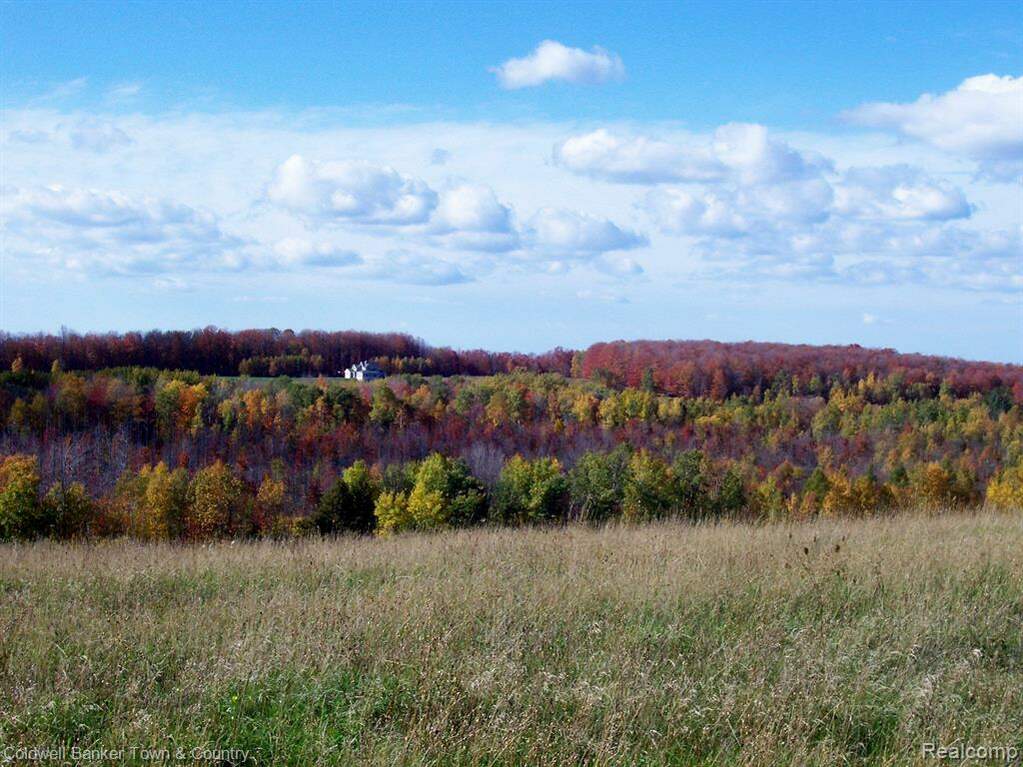 9 Orchard Ridge, Banks Twp, MI 49729 MLS 20230000498 properties