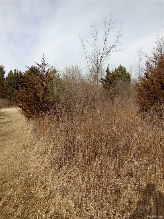 4076 Morrish Road, Swartz Creek, MI 48473 MLS 20230013868