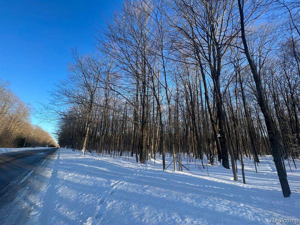 000 Starvation Lake Road, Cold Springs Twp, MI 49659 MLS 20230020471