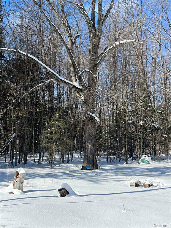 000 Starvation Lake Road, Cold Springs Twp, MI 49659 MLS 20230020471