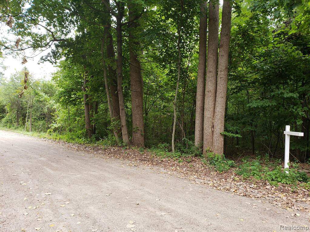 0 Schroeder Street, Farmington Hills, MI 48331 MLS 20230039570