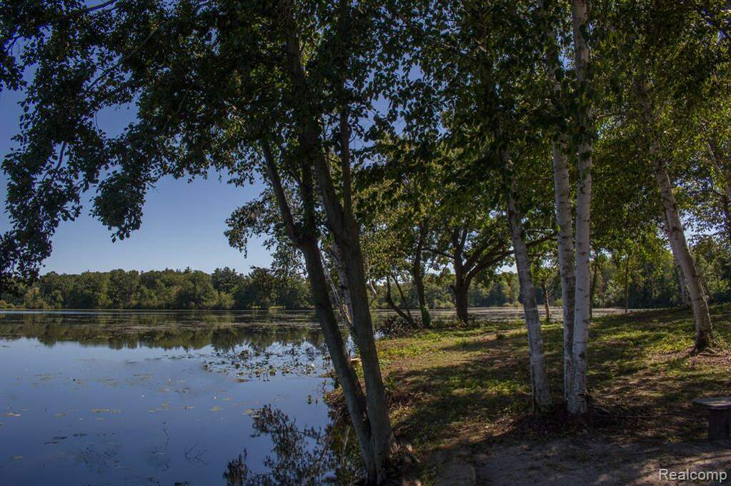 5320 Hagerman Road, Addison Twp, MI 48367 MLS 20230075261 properties