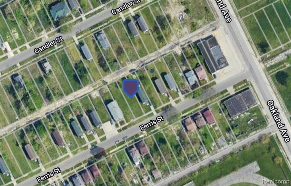 227 Ferris Street, Highland Park, MI 48203 MLS 20230101647 properties