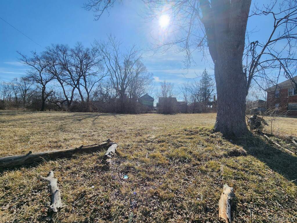615 W Brentwood Street, Highland Park, MI 48203, Highland Park