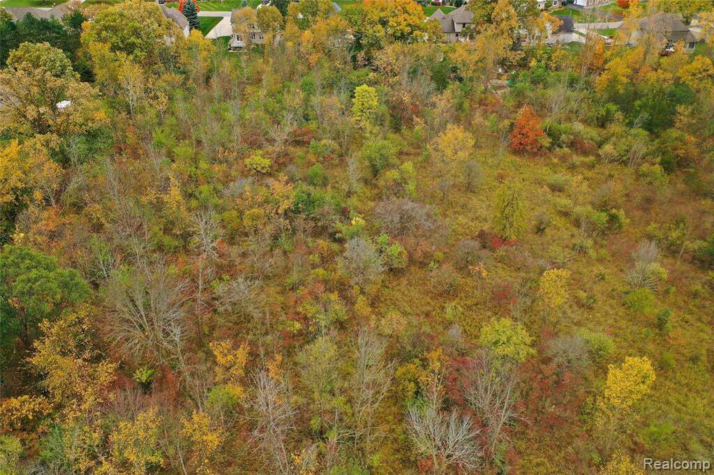 000 Perry Rd Perry Road, Grand Blanc Twp, MI 48439 MLS 20240002048 properties SE Michigan