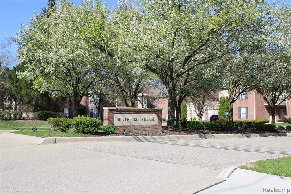 13669 Silver Birch Circle, Shelby Twp, MI 48315 MLS 20240024131