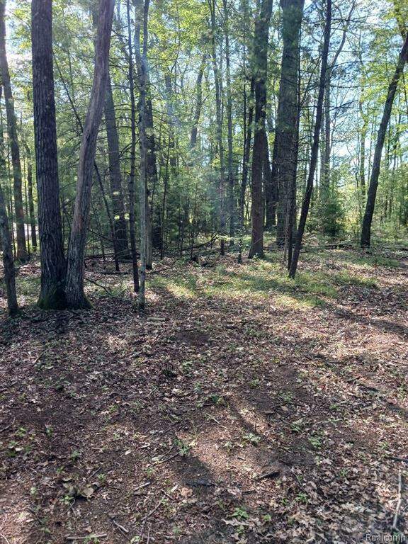 5614 Whalen Lake, Baldwin Vlg, MI 49304 MLS 20240046461 properties SW Michigan