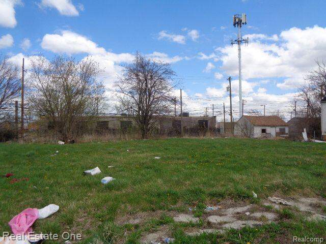 11670 Saint Louis Street, Hamtramck, MI 48212 - View 2