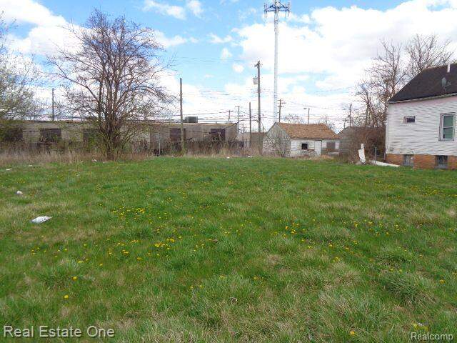 11670 Saint Louis Street, Hamtramck, MI 48212 - View 3