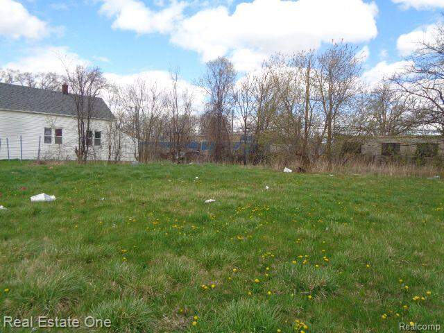 11670 Saint Louis Street, Hamtramck, MI 48212 - View 4