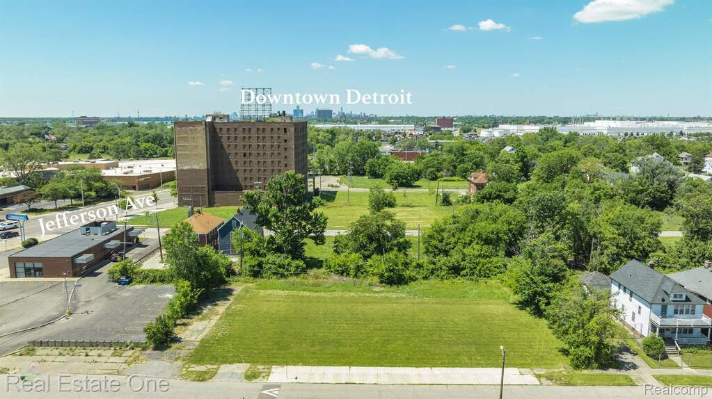 1075 Coplin Street, Detroit, MI 48215, Detroit