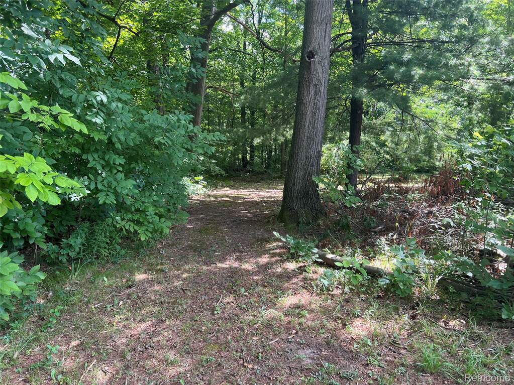 0 Fonda Dr, Columbiaville, MI 48421 - More