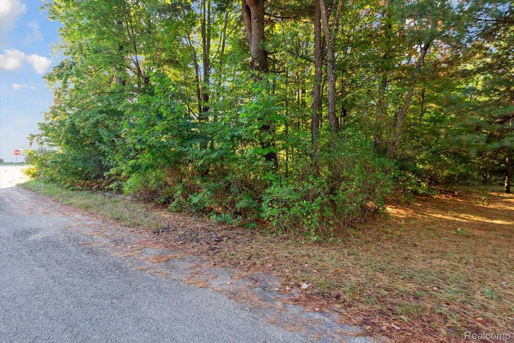1043 Noirot Street, Gaylord, MI 49735 - View 4