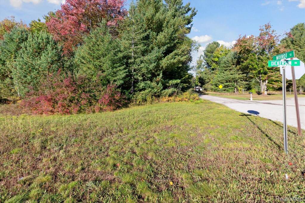 1043 Noirot Street, Gaylord, MI 49735 - More