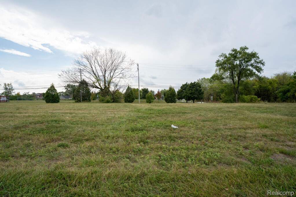 9833 Russell Street, Detroit, MI 48211 - View 4