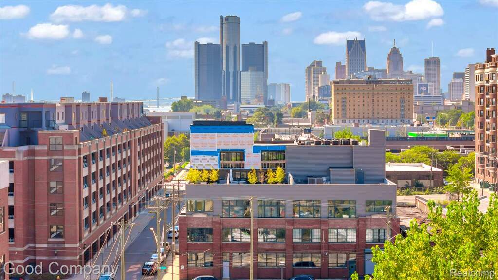 2987 Franklin Street #2, Detroit, MI 48207 - More