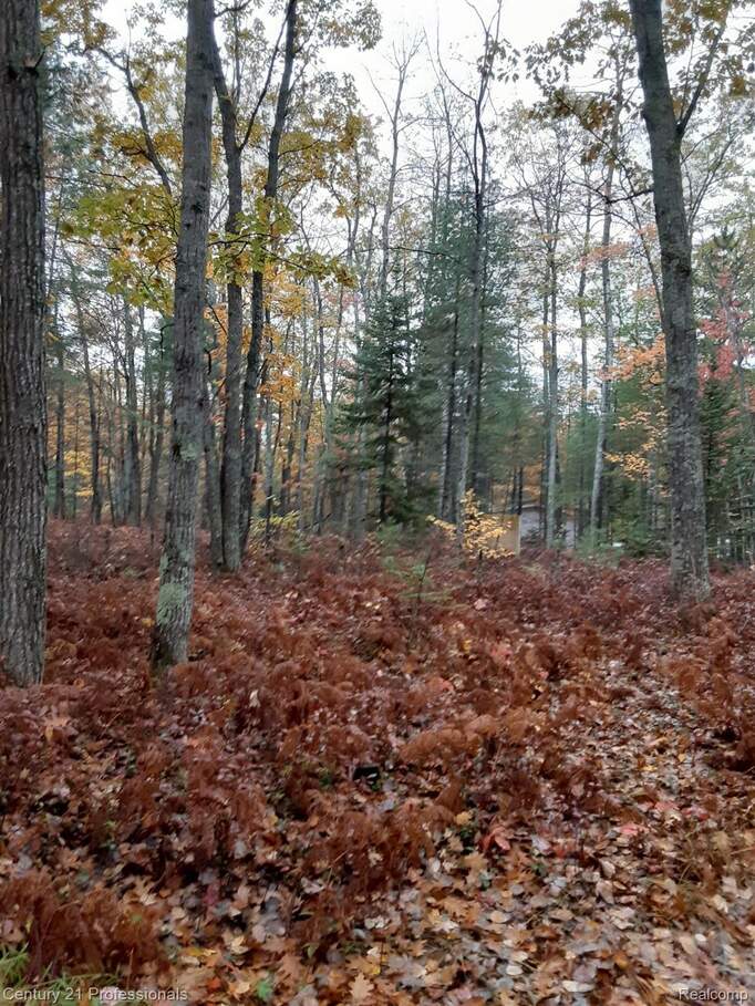 6710 Chippewa Trail, Rogers City, MI 49779