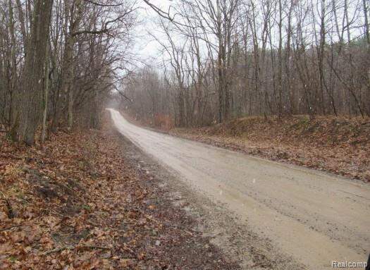 14510 Washburn Road, Otter Lake, MI 48464 - View 3