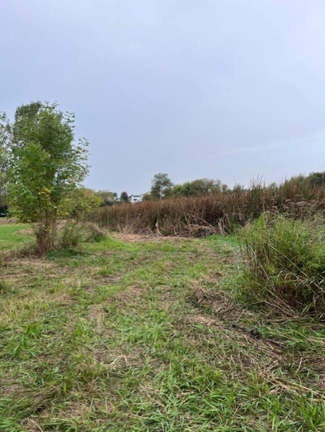 1051 N Cummings Road, Davison, MI 48423, Davison