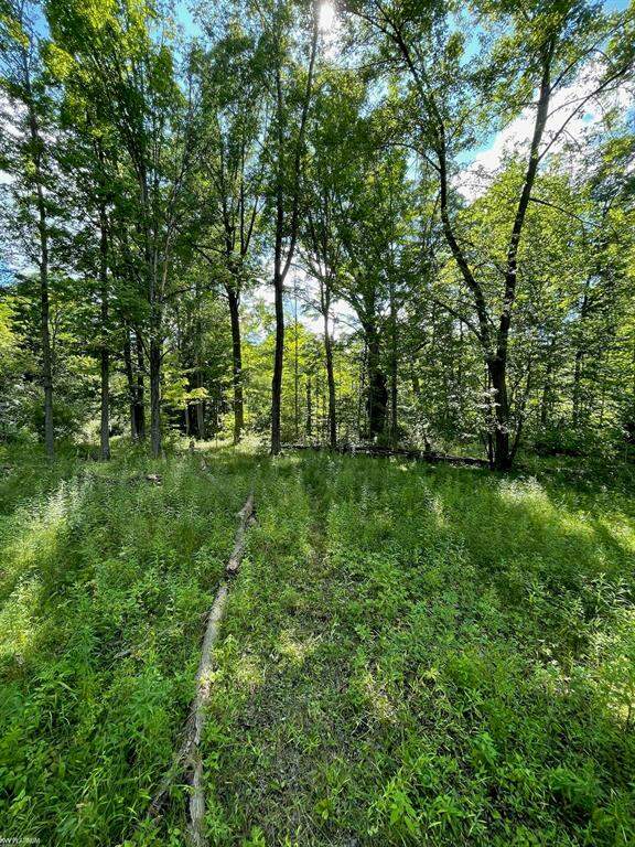 Rattle Run, St. Clair Twp, MI 48079 MLS 58050117260 properties SE