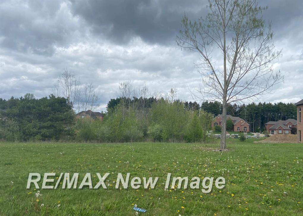V/L Rivershyre Parkway, Davison, MI 48423, Davison