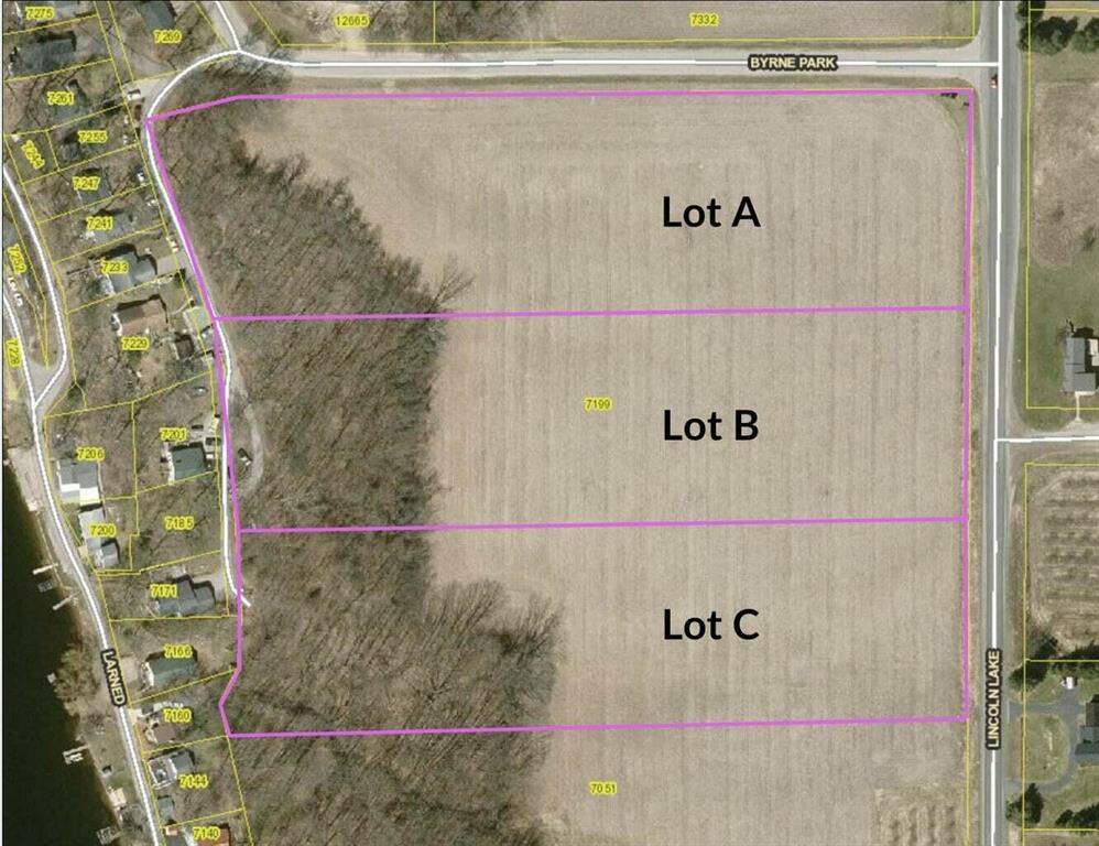 7199 Lincoln Lake Avenue Ne, Grattan Twp, MI 48809 MLS 65023004582