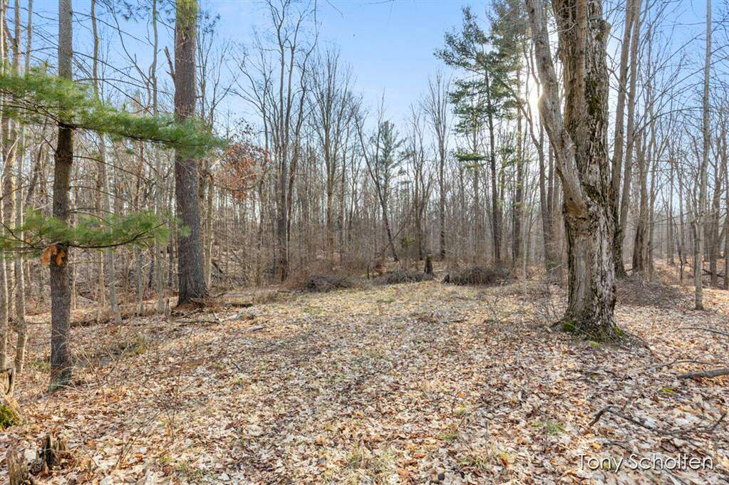 Parcel B 24th Avenue, Tallmadge Twp, MI 49435 MLS 65024009152