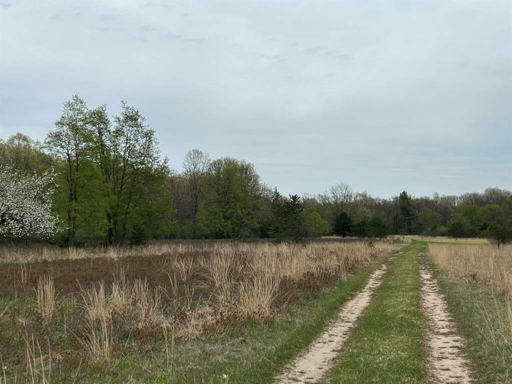 17066 Airport Road, Norman Twp, MI 49689 MLS 67023015409