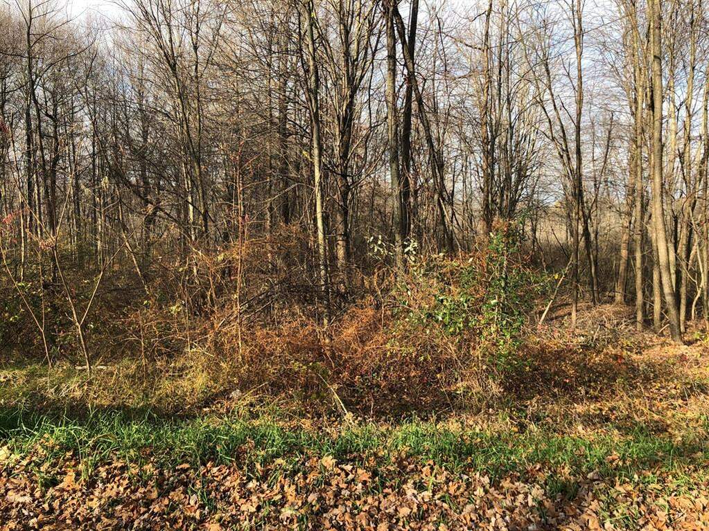 Tillamook Road, White Pigeon Twp, MI 49099 MLS 68022047509 properties SE Michigan