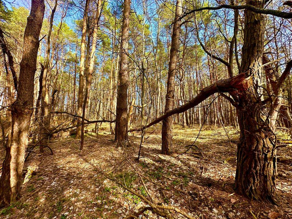 Buckhorn Lake Road, Rose Twp, MI 48442 MLS 68024020678 properties