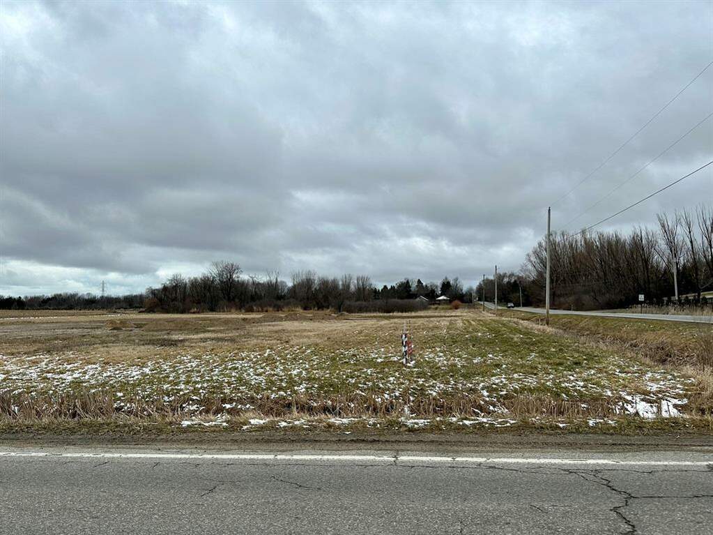 W John Beers Road, Lincoln Twp, MI 49127 MLS 69023007111