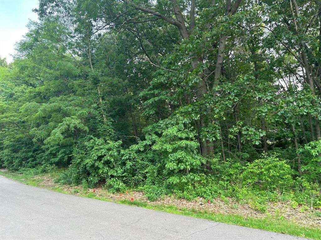 Lot 30 Golfmore Estates, Grand Beach Vlg, MI 49117 MLS 69023021080