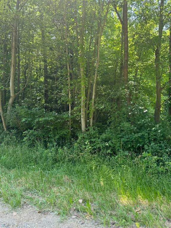 5824 Jefferson Street, Hagar Twp, MI 49038 MLS 69024031940