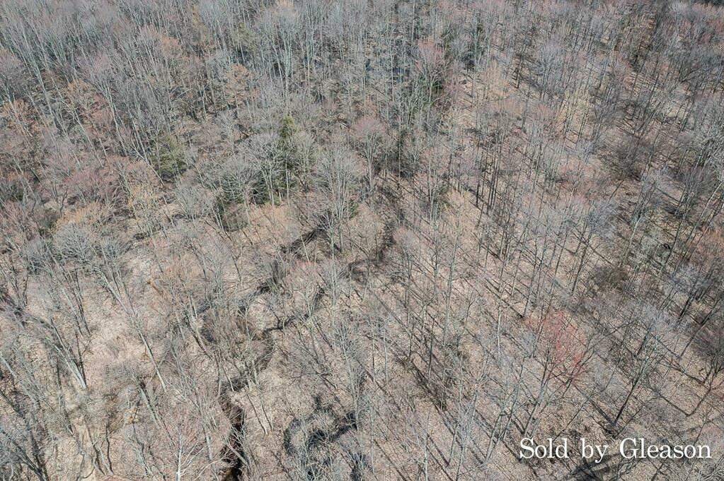 0 Wolf Lake Road, Sullivan Twp, MI 49451 MLS 71023010632