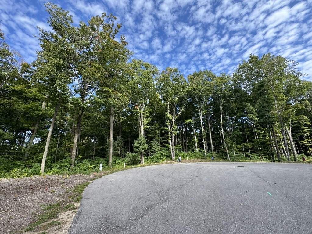 14672 Crest View Court, South Haven, MI 49090 - View 2