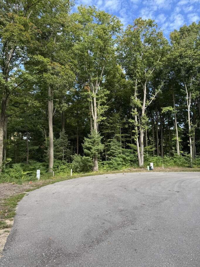 14672 Crest View Court, South Haven, MI 49090 - View 3