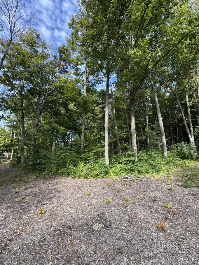 14672 Crest View Court, South Haven, MI 49090 - View 5