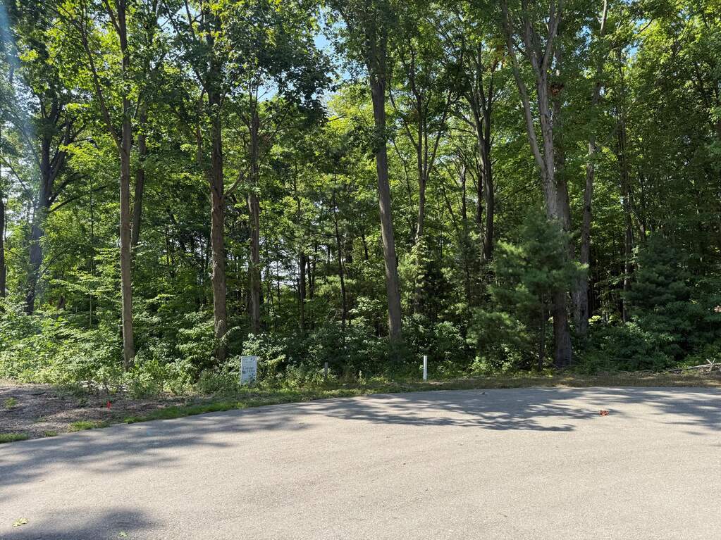 14672 Crest View Court, South Haven, MI 49090 - More