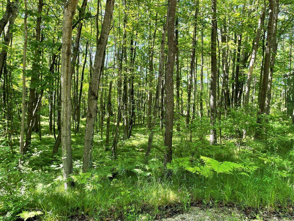 12155 Cape Breton Drive, Austin Twp, MI 49346 MLS 72022024627