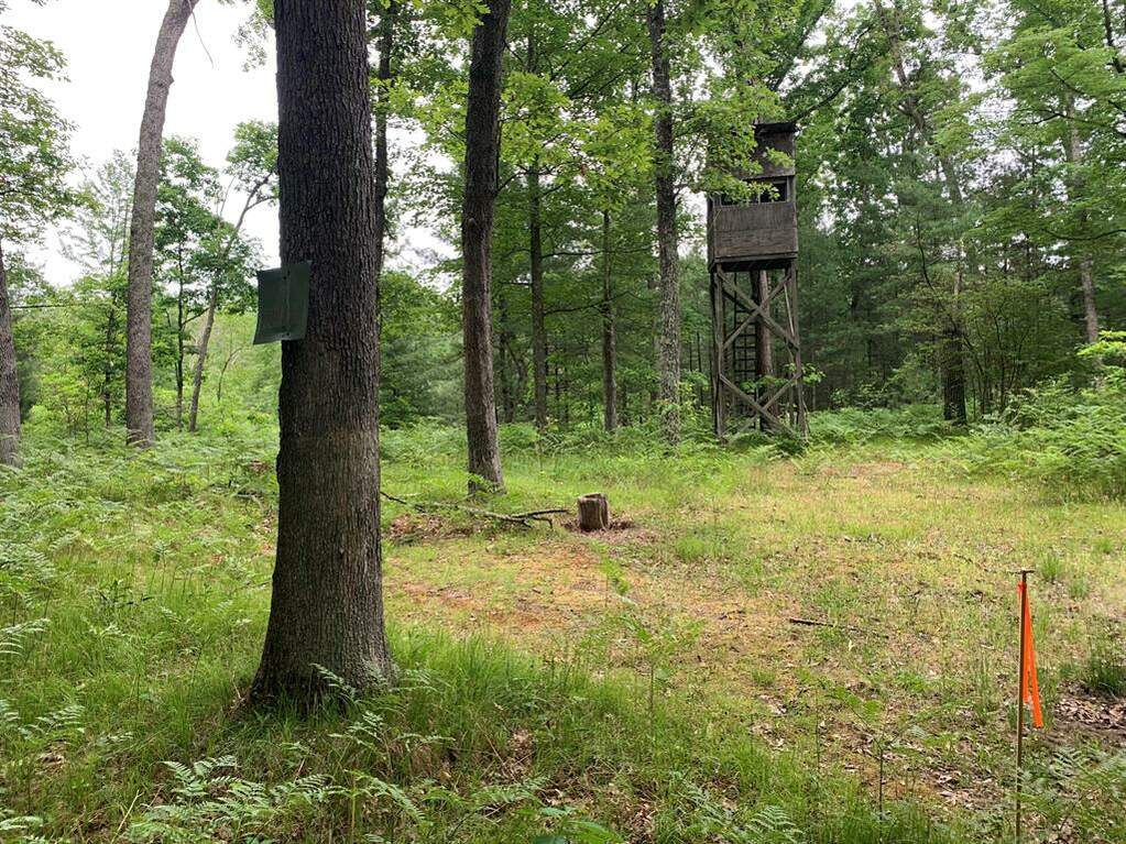 VLLot D W Pierce Drive Drive, Merrill Twp, MI 49312 MLS 72023025347