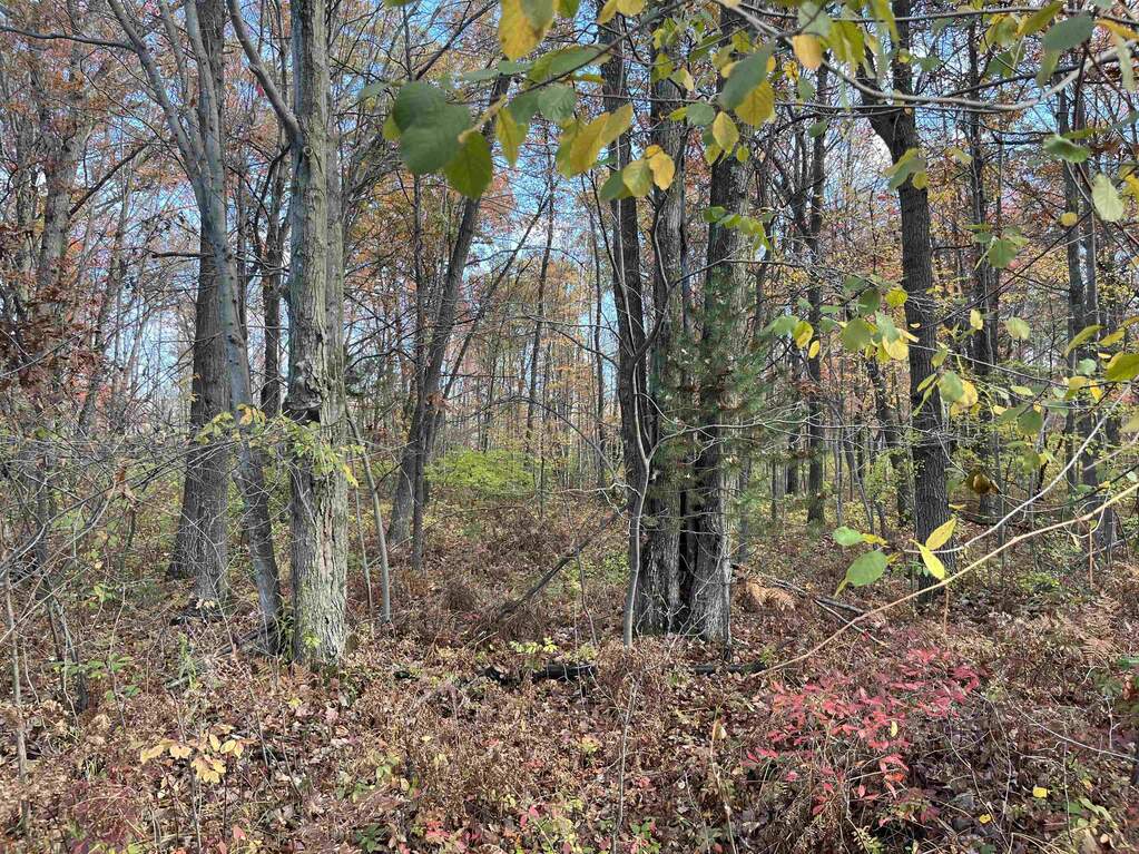 NKA Husak Road, Omer, MI 48749, Omer