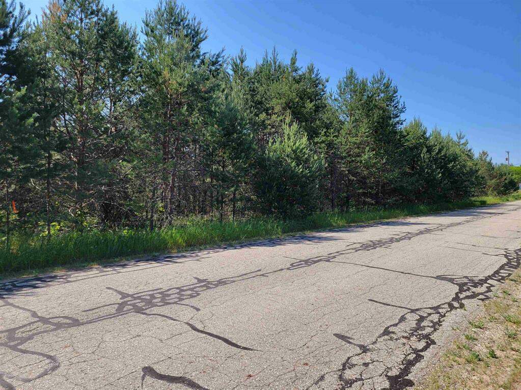 V/L Sunnyside Street, Mancelona Twp, MI 49659 MLS 78080008042 properties SE Michigan