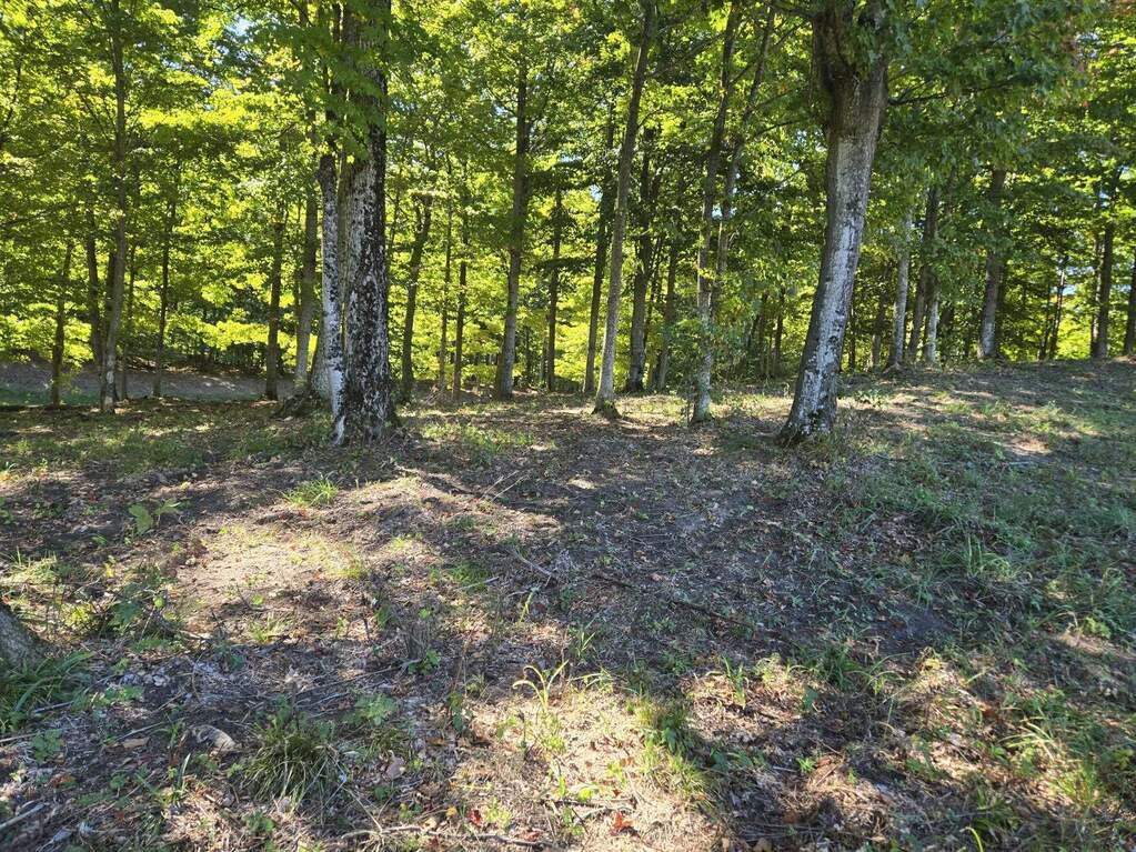 0023 Heather Ridge Trail, Beulah, MI 49617 - View 4