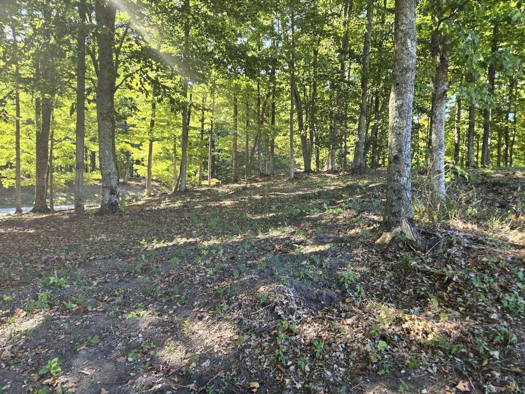 0023 Heather Ridge Trail, Beulah, MI 49617 - View 5