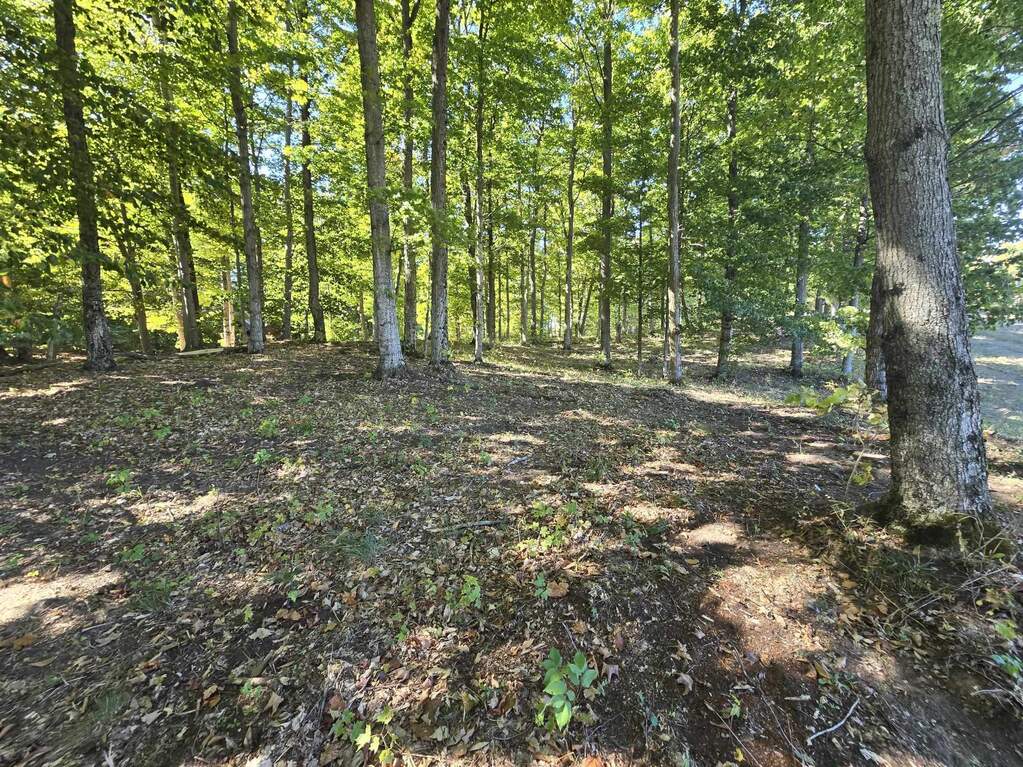 0023 Heather Ridge Trail, Beulah, MI 49617 - View 6