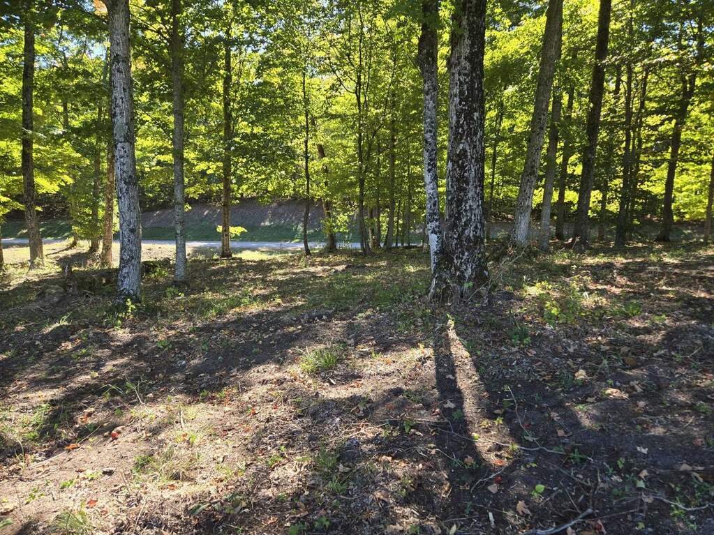 0023 Heather Ridge Trail, Beulah, MI 49617 - More