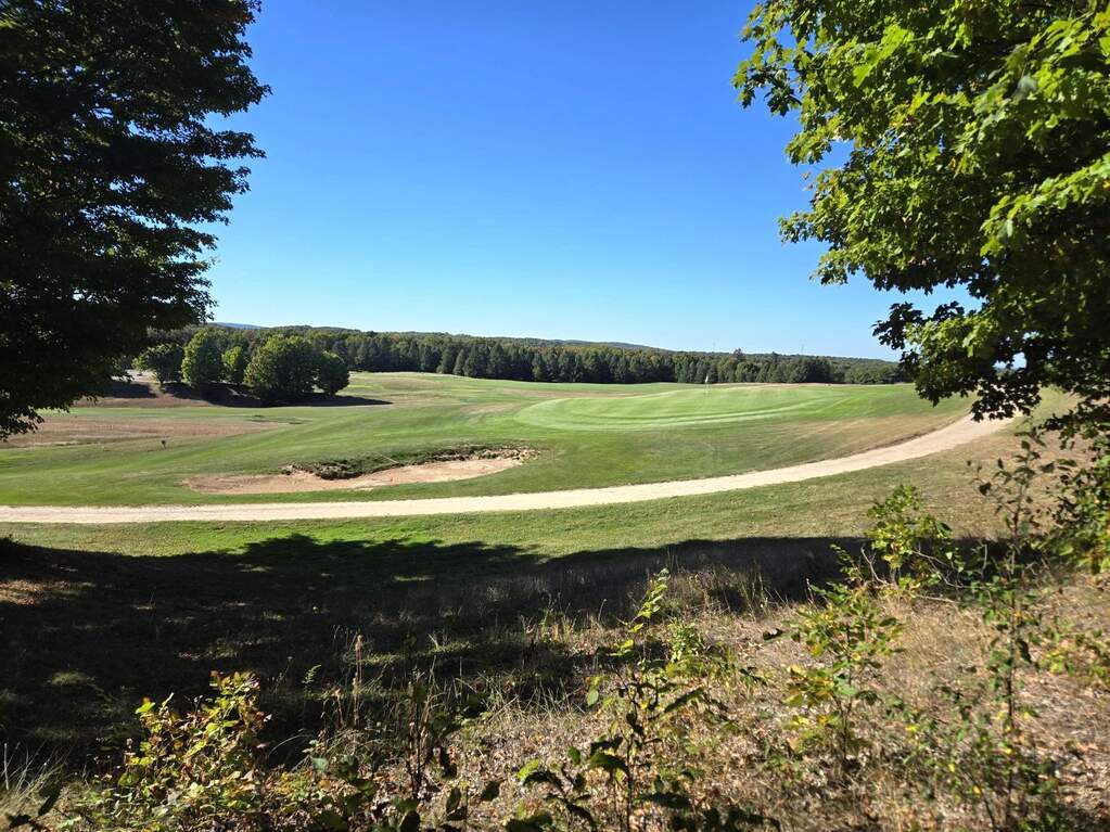 0013 Heather Ridge Trail, Beulah, MI 49617 - View 3