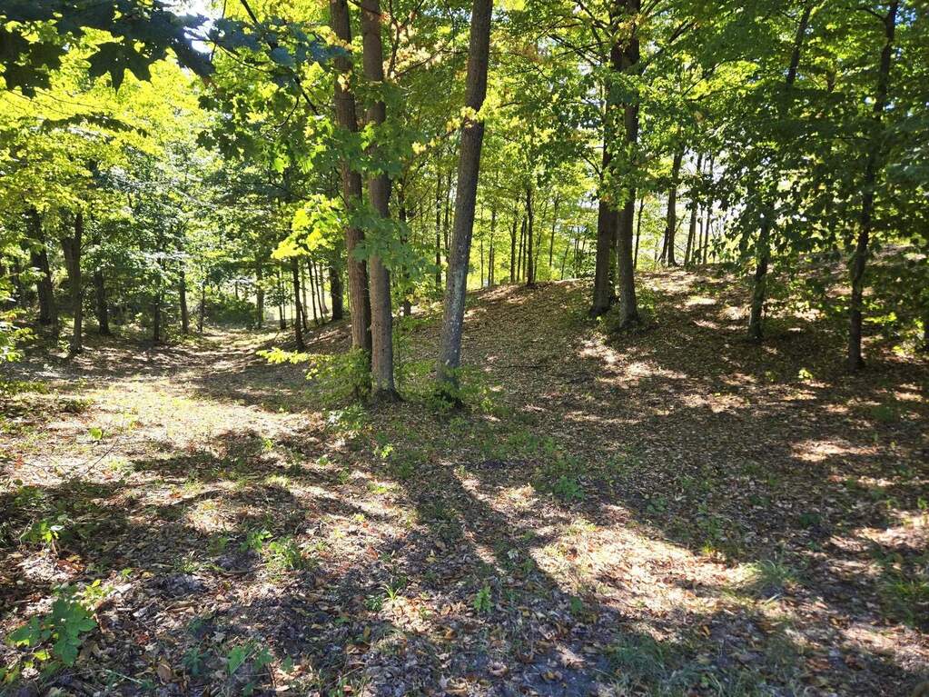 0013 Heather Ridge Trail, Beulah, MI 49617 - View 4